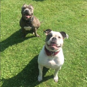 Meet your Posher, Jaylin